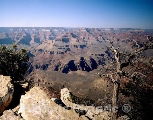 Grand Canyon, AZ Photo - Grand Canyon Panorama, Arizona