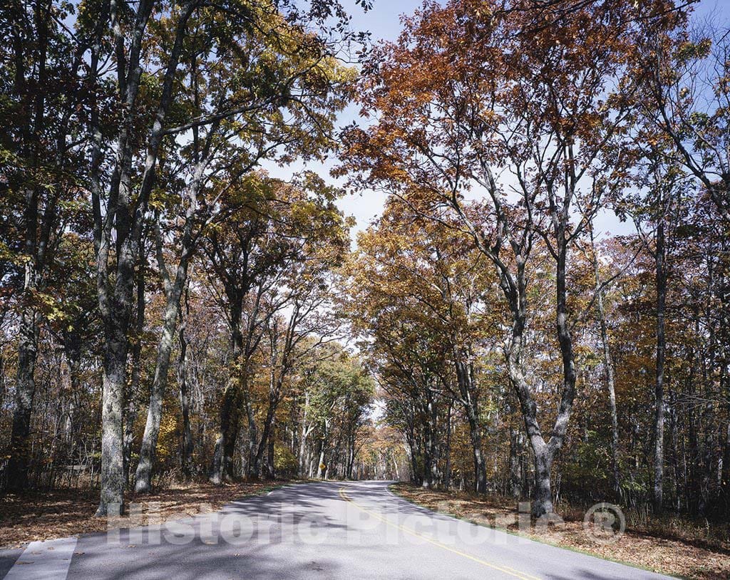 Skyline Drive, VA Photo - Along Skyline Drive in Virginia