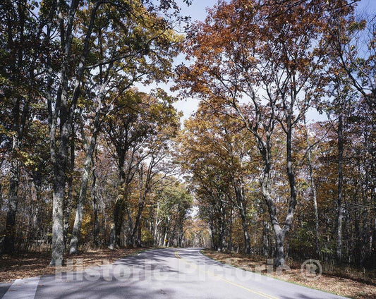 Skyline Drive, VA Photo - Along Skyline Drive in Virginia