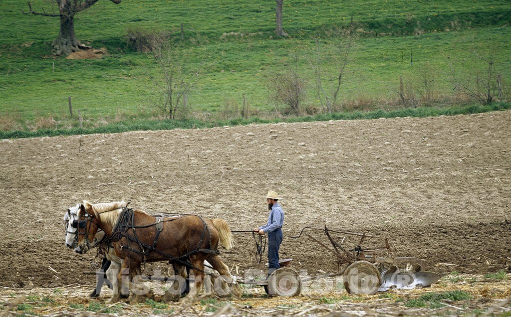 Lancaster, PA Photo - Amish Working The Field in Pennsylvania