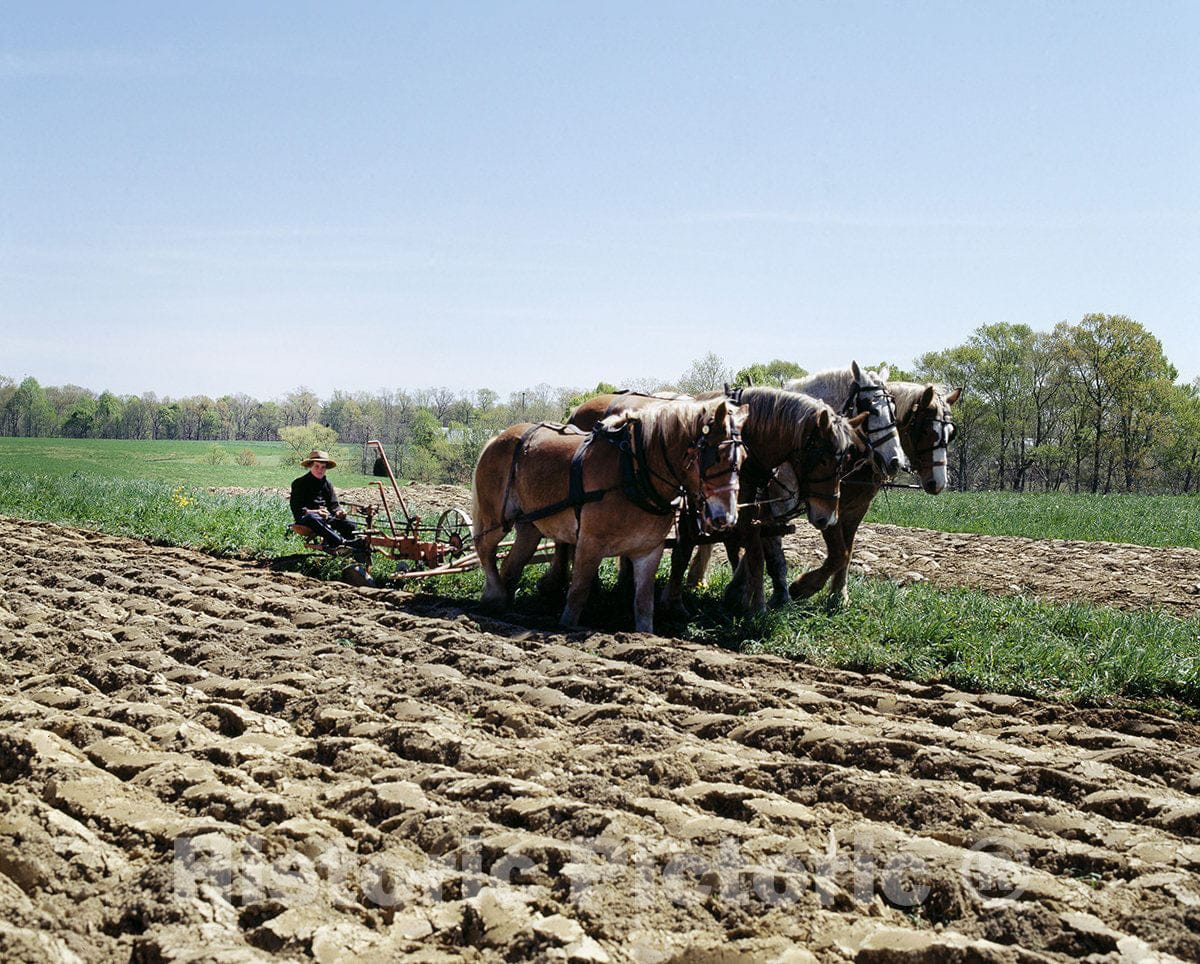 Lancaster, PA Photo - Amish Farm Scene in Pennsylvania