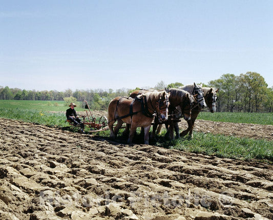 Lancaster, PA Photo - Amish Farm Scene in Pennsylvania