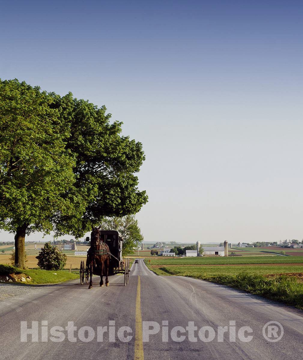 Photo - Amish Buggy in Pennsylvania- Fine Art Photo Reporduction