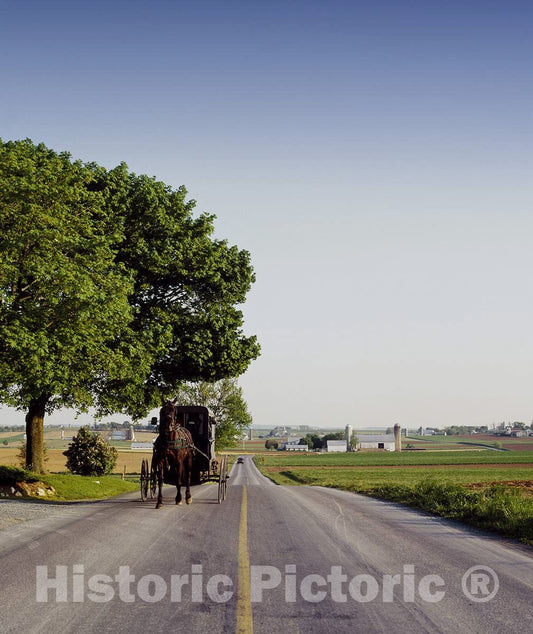Photo - Amish Buggy in Pennsylvania- Fine Art Photo Reporduction