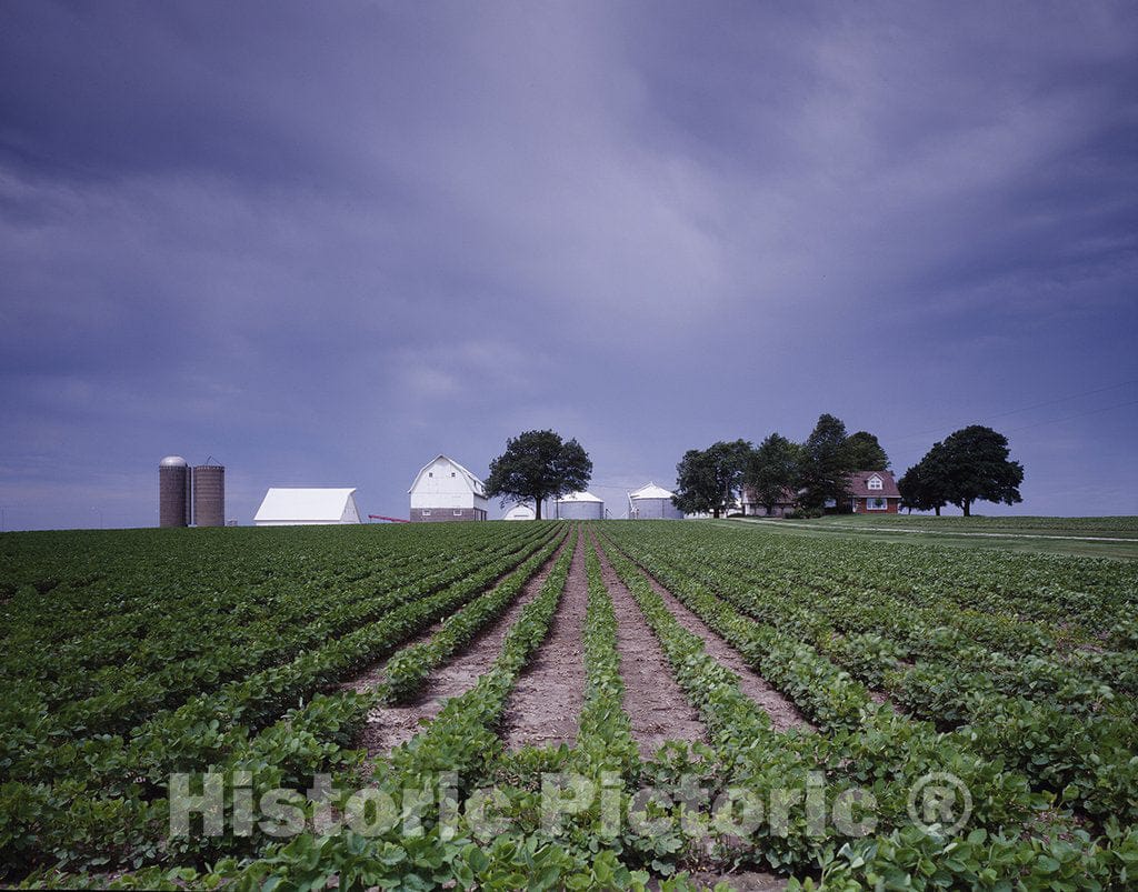 Iowa Photo - Rich farmland in Iowa