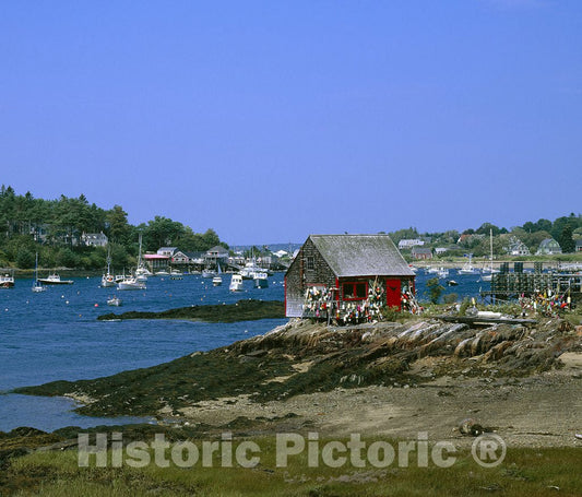 Bailey's Island, ME Photo - Bailey's Island, Maine