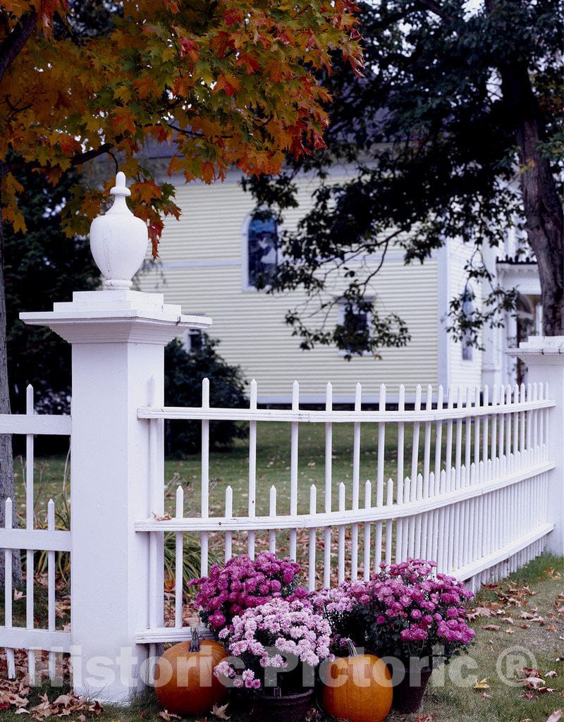 Guildhall, VT Photo - Fall Detail, Vermont