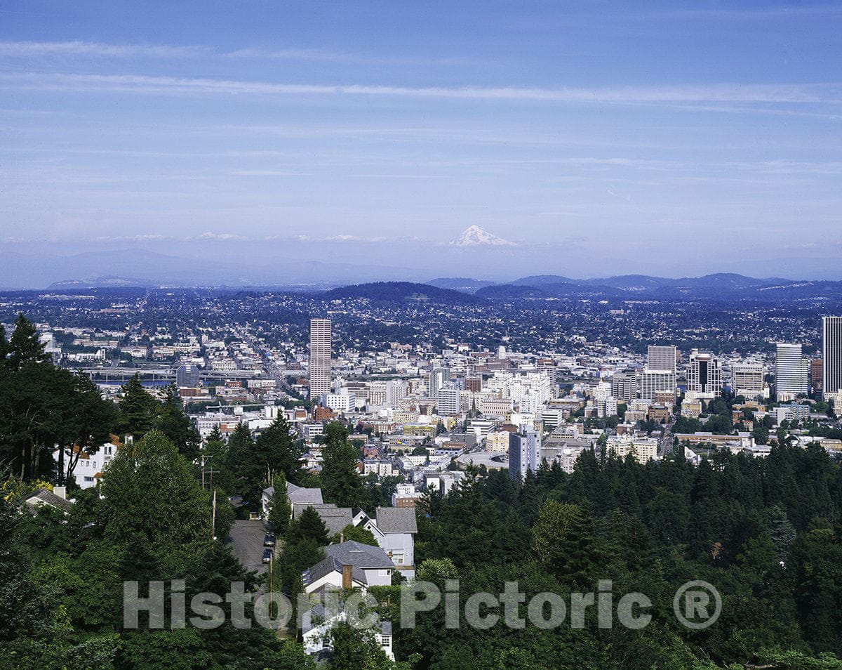 Portland, OR Photo - Portland, Oregon, Beneath Mount Hood