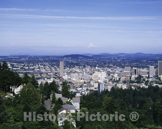 Portland, OR Photo - Portland, Oregon, Beneath Mount Hood