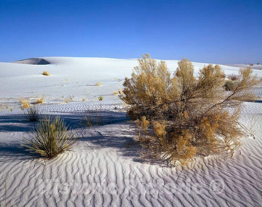 Photo - Mojave Desert, California- Fine Art Photo Reporduction