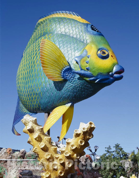 Photo - Fish carving, Florida Keys- Fine Art Photo Reporduction