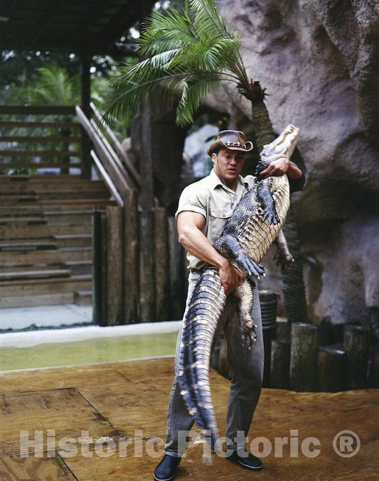 Saint Petersburg, FL Photo - Alligator Wrestler, Paul Strazzula, wrestles with Ease at Florida's Sunken Gardens Show in Saint Petersburg, Florida