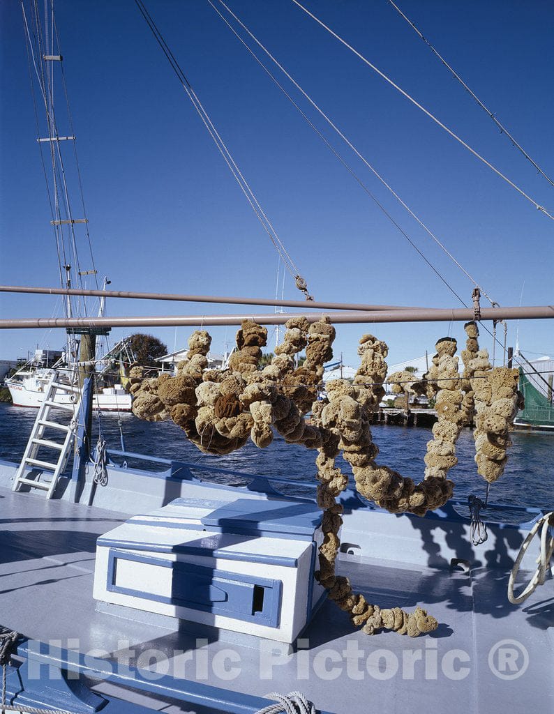 Tarpon Springs, FL Photo - Sponge Boat, Tarpon Springs, Florida