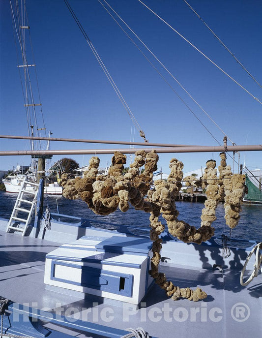 Tarpon Springs, FL Photo - Sponge Boat, Tarpon Springs, Florida