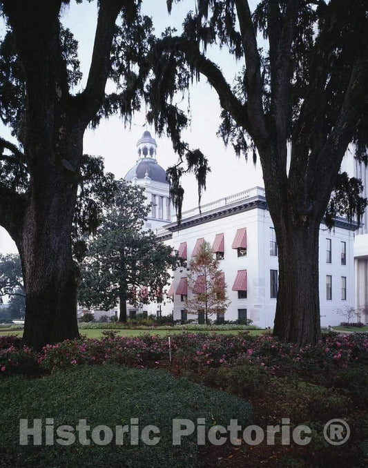 Photo - Historic Capitol, Tallahassee, Florida- Fine Art Photo Reporduction