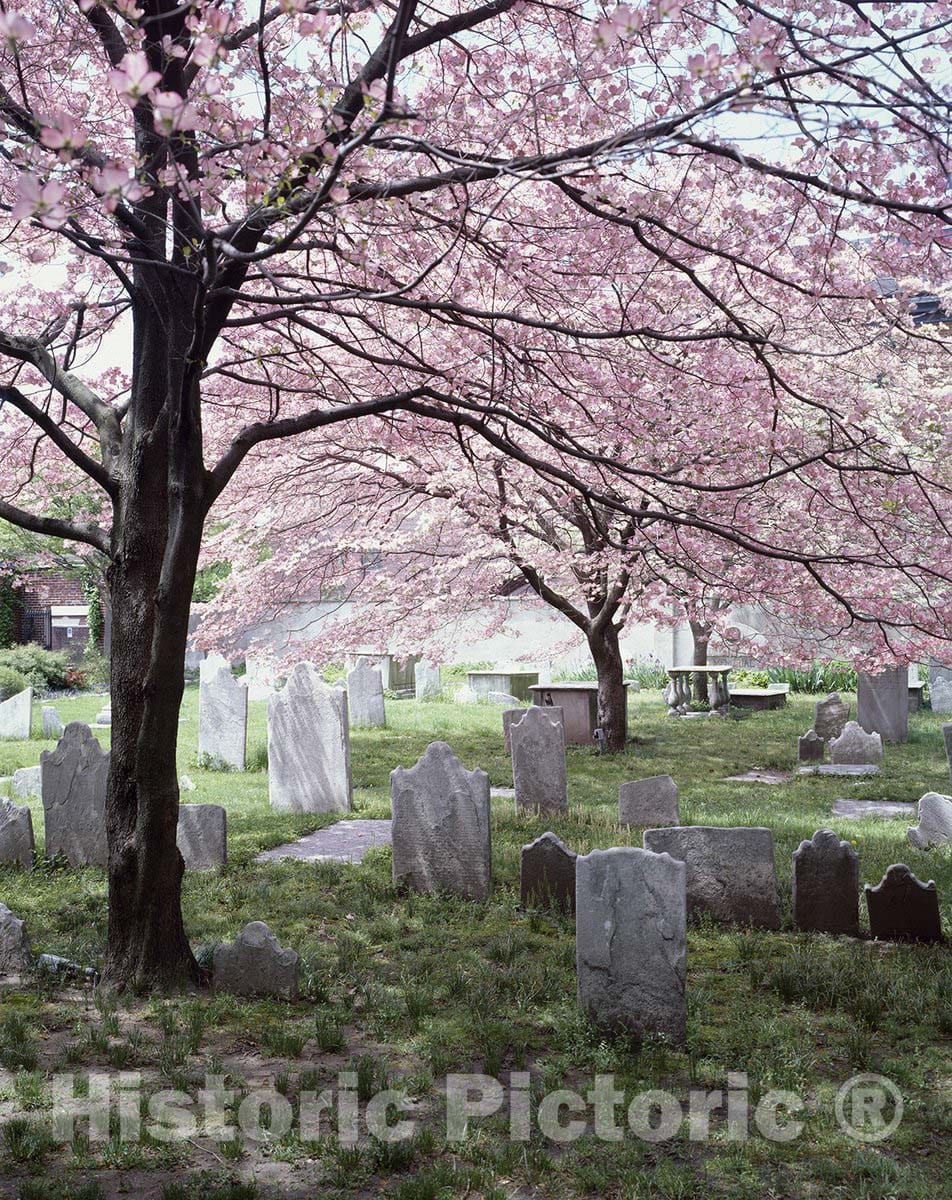 Philadelphia, PA Photo - Old Pine Street Church Cemetery-