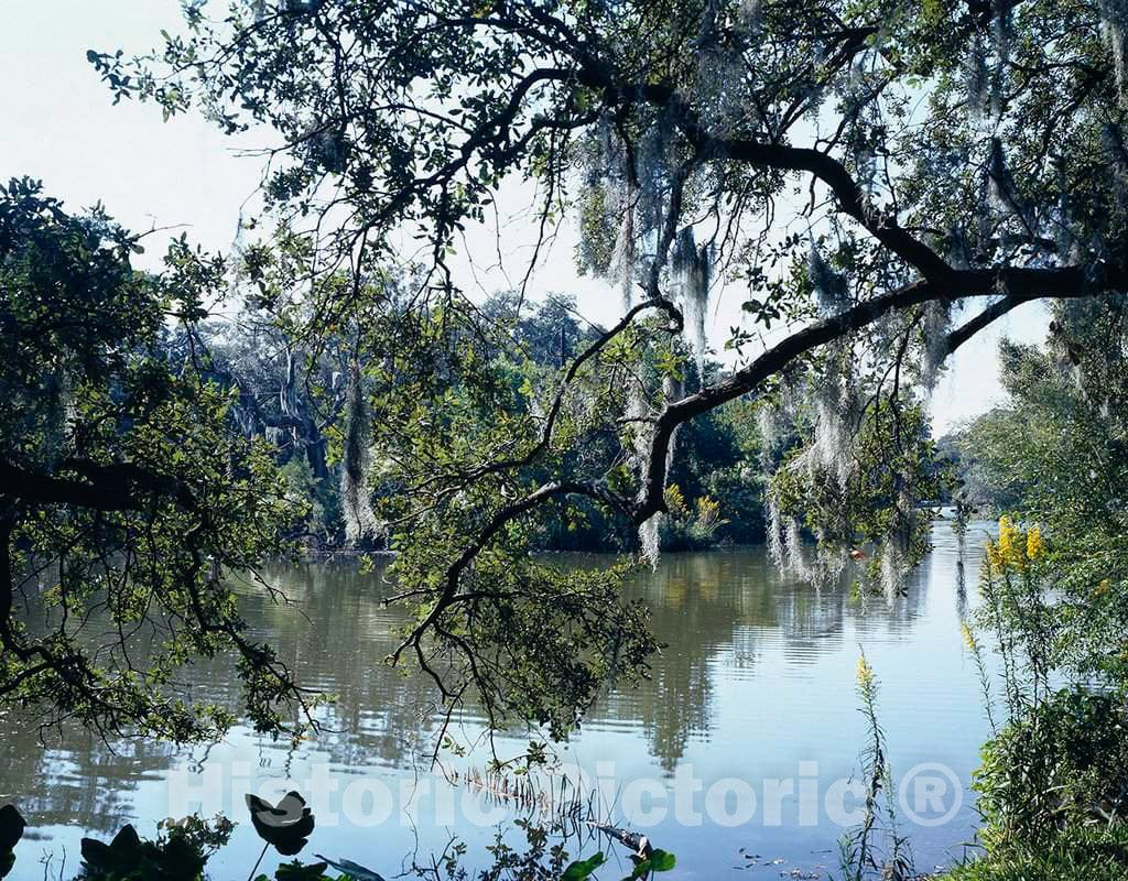 Photo - City Park, New Orleans, Louisiana- Fine Art Photo Reporduction