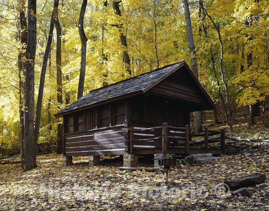 The Appalachian Trail Photo - Shelter along the Appalachian Trail
