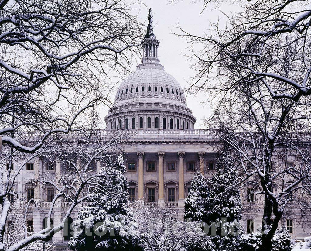 Washington, D.C. Photo - U.S. Capitol, Washington, D.C.