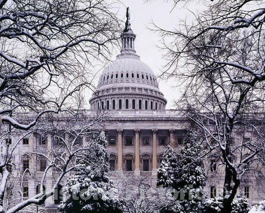Washington, D.C. Photo - U.S. Capitol, Washington, D.C.