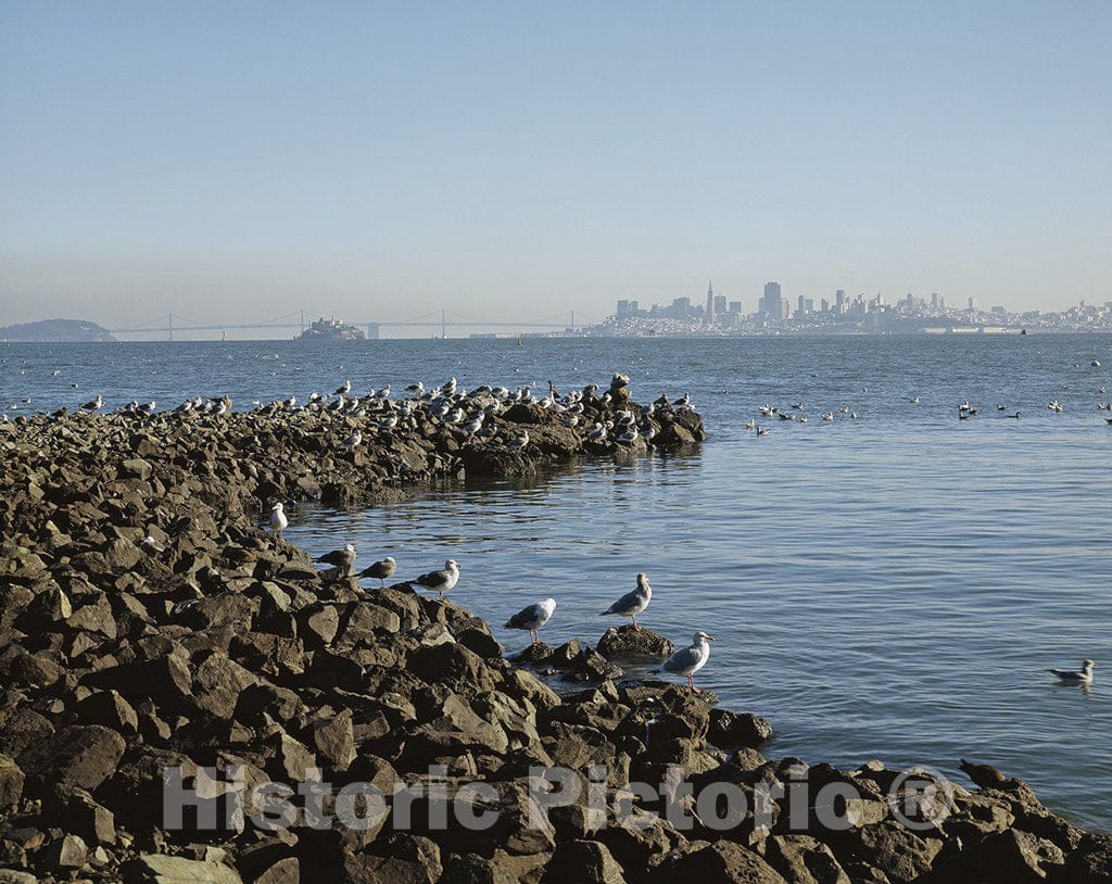 Sausalito, CA Photo - Sausalito, California