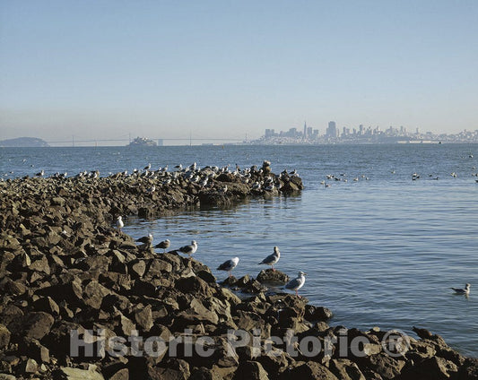 Sausalito, CA Photo - Sausalito, California