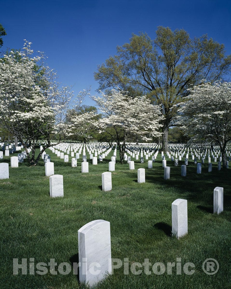 Arlington, VA Photo - Springtime View of Arlington National Cemetery-