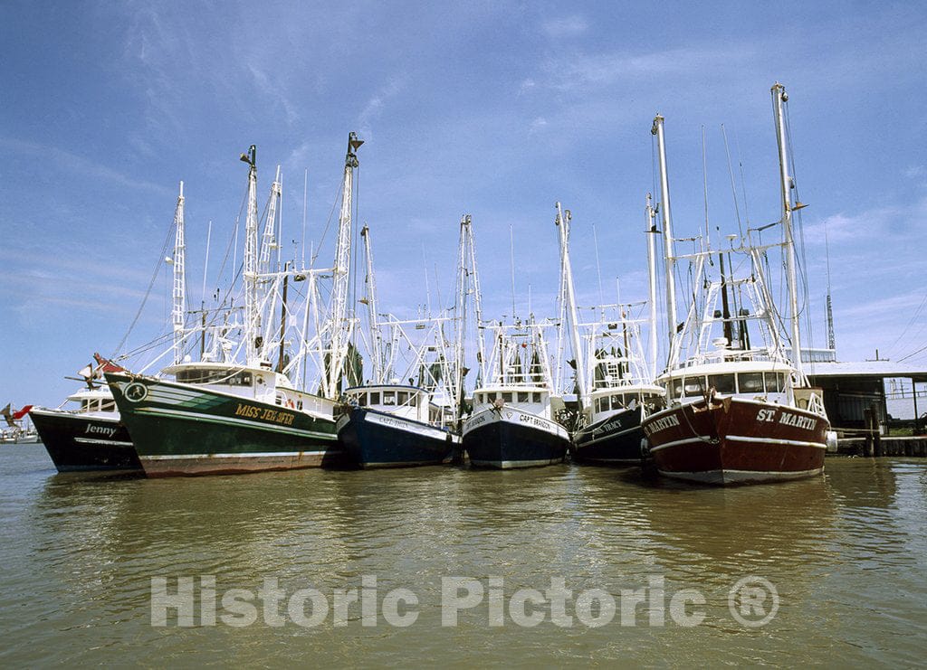 Louisiana Photo - Shrimp Boat Fleet in Louisiana
