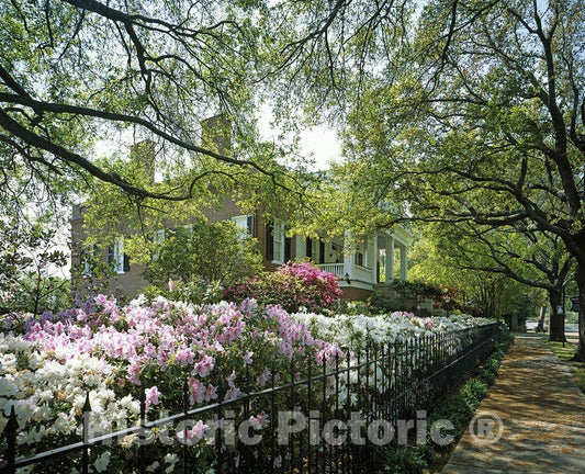 Natchez, MS Photo - Springtime in Natchez, Mississippi