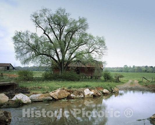 Louisiana Photo - Rural countryside in Louisiana