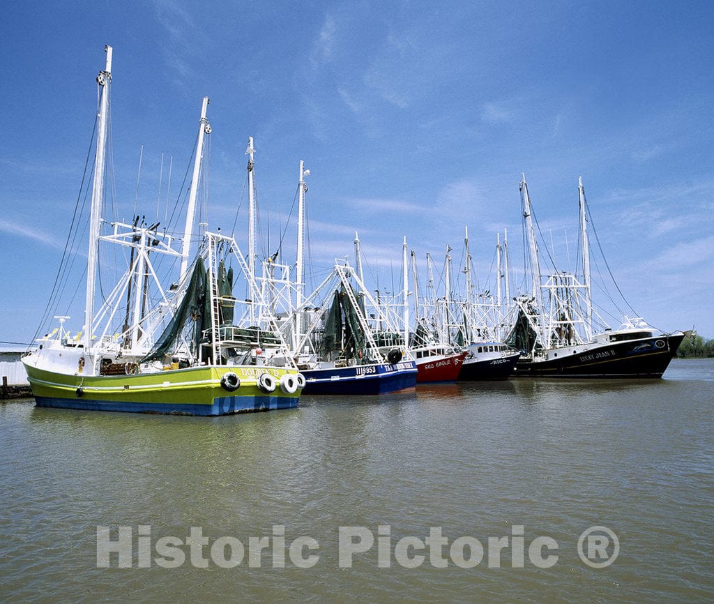 Louisiana Photo - Shrimp Boat Fleet in Louisiana