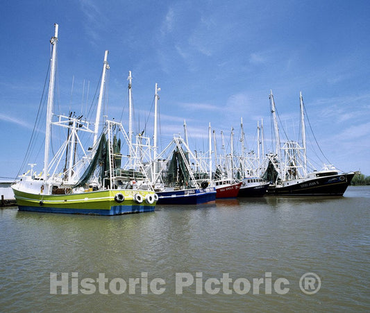 Louisiana Photo - Shrimp Boat Fleet in Louisiana