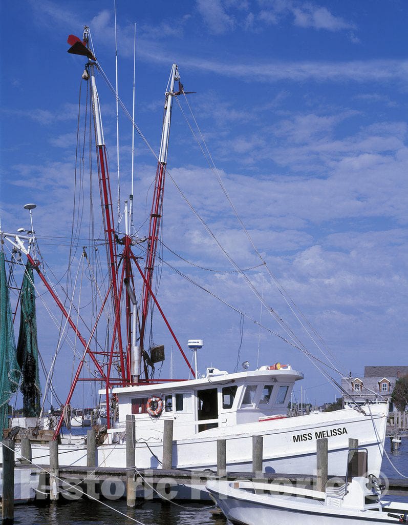 United States Photo - Carolina Shrimp Boat