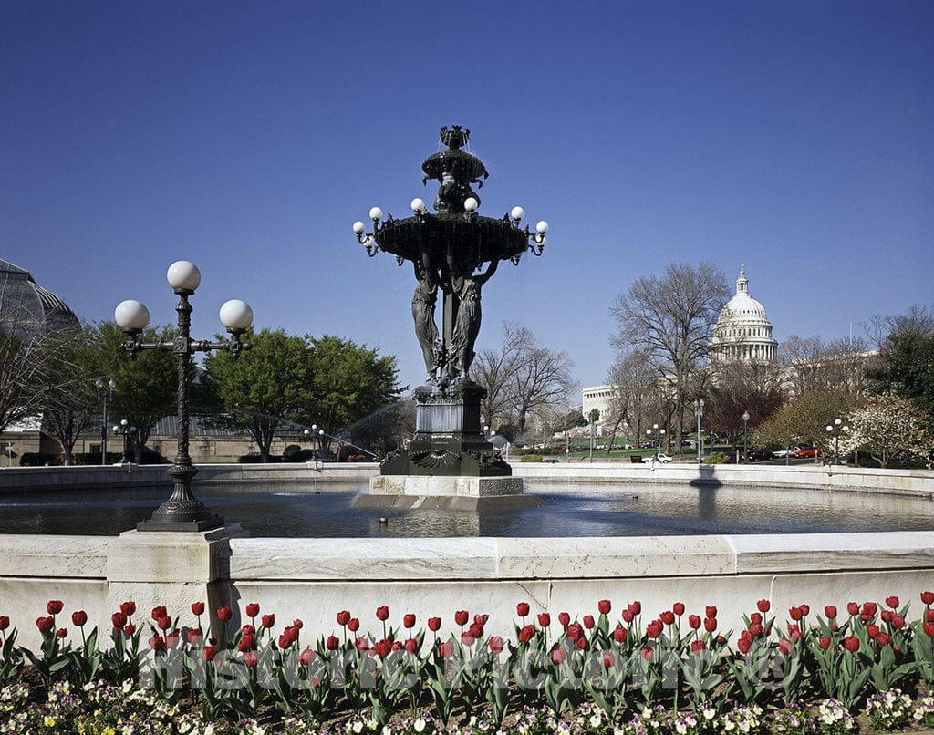 Washington, D.C. Photo - U.S. Botanic Garden, Washington, D.C.