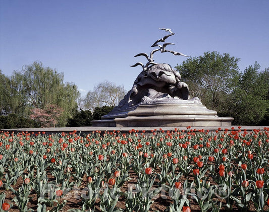 Arlington, VA Photo - Memorial to Lives Lost at Sea, Washington D.C.