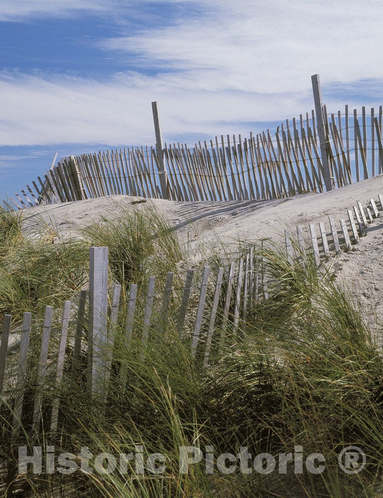 Cape Hatteras, NC Photo - Dunes and Fence, Cape Hatteras, North Carolina