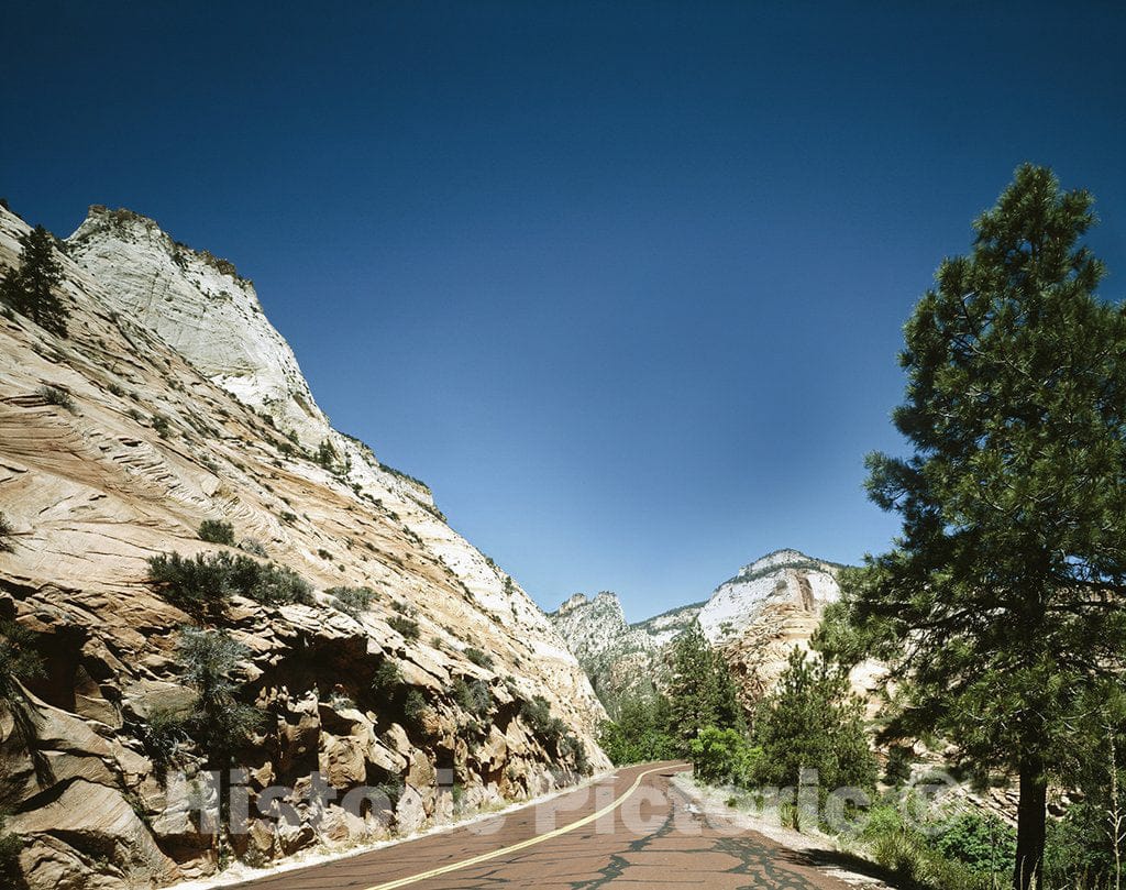 Zion National Park, UT Photo - Red Road Through Zion National Park, Utah