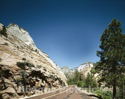 Zion National Park, UT Photo - Red Road Through Zion National Park, Utah