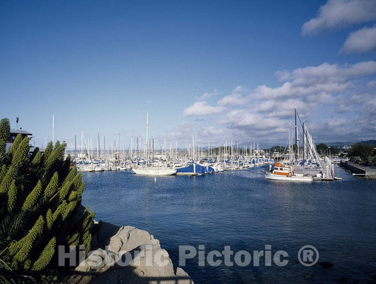 Monterey, CA Photo - Harbor, Monterey, California