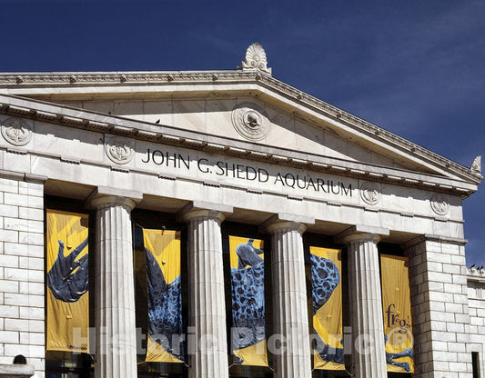 Chicago, IL Photo - Shedd Aquarium, Chicago, Illinois