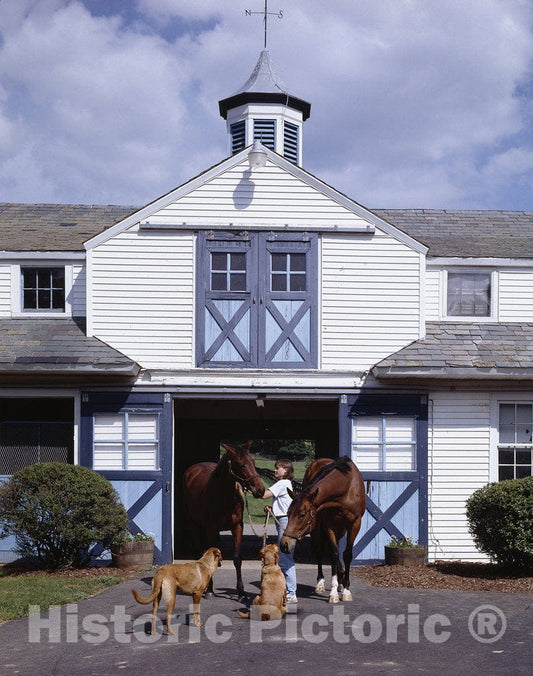 The Plains, VA Photo - Horse Country in The Plains, Virginia