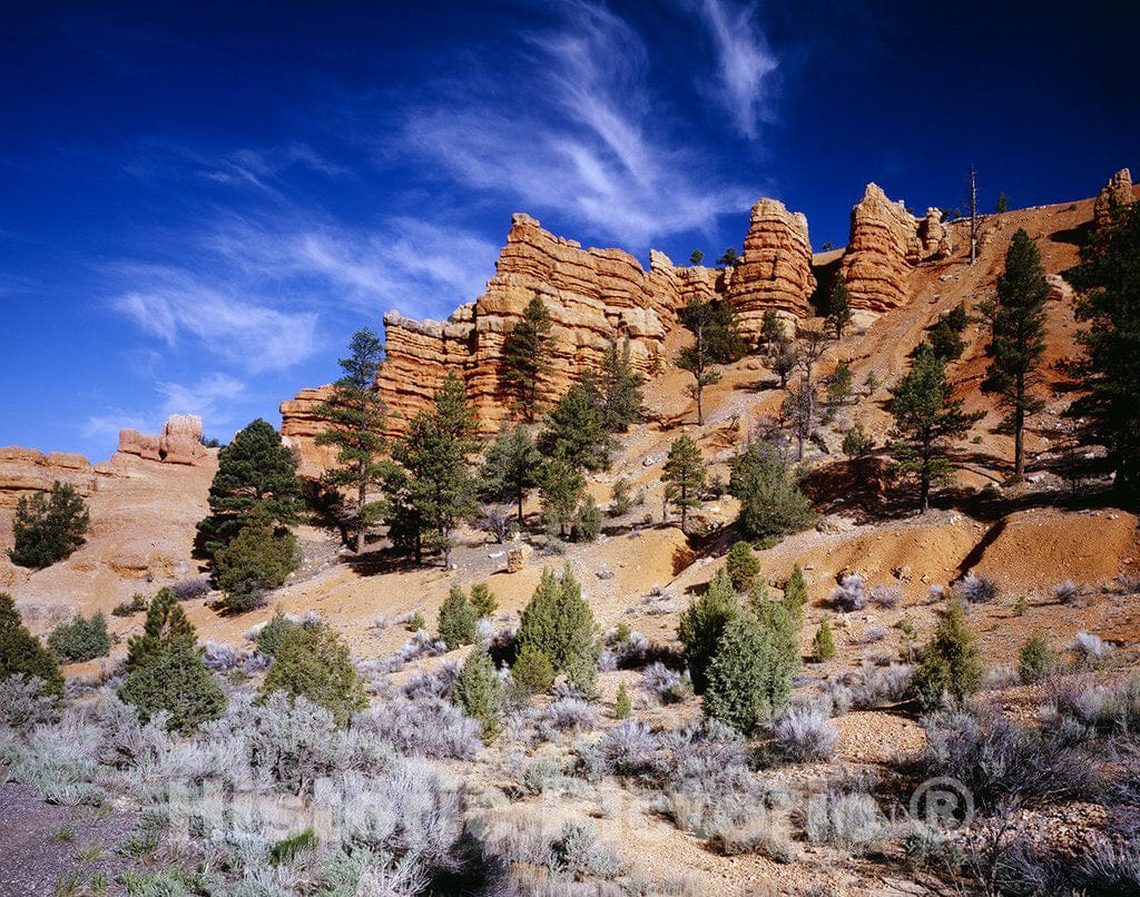 Red Canyon, UT Photo - Utah's Red Canyon