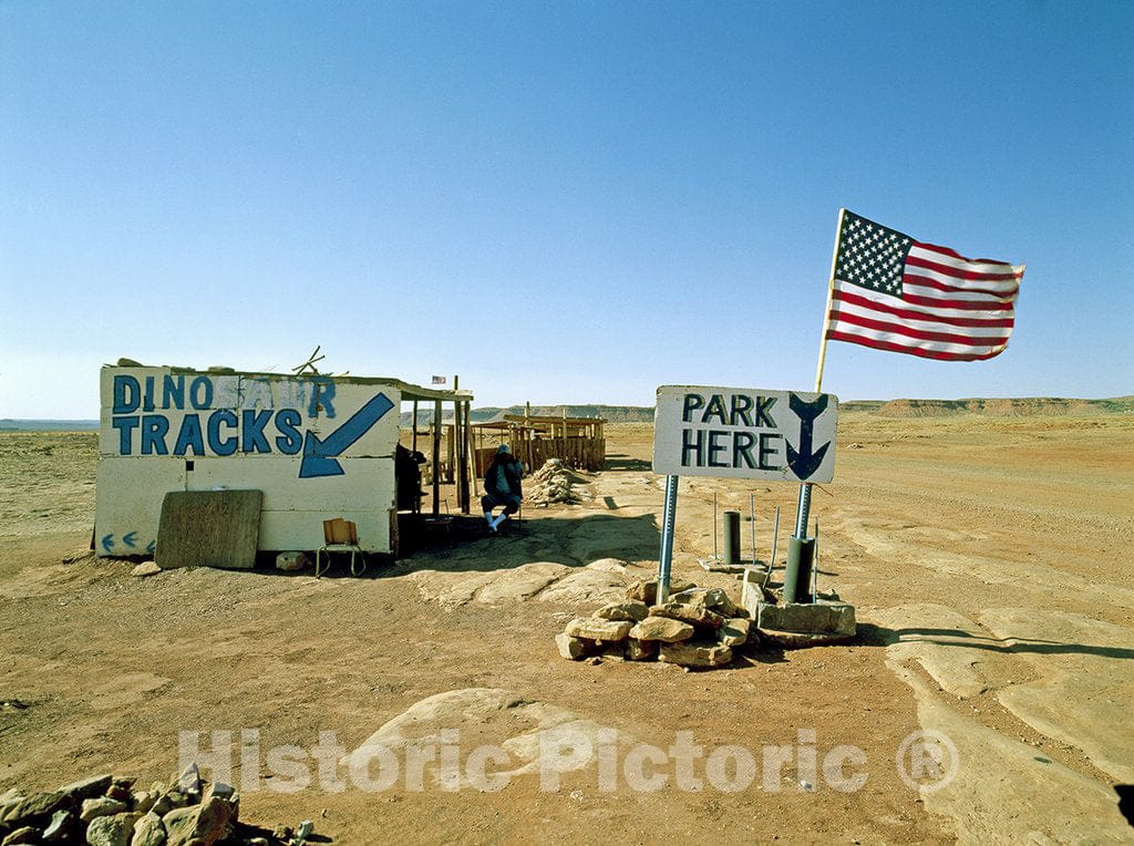 Arizona Photo - Dinosaur Track Attraction Shack, Arizona