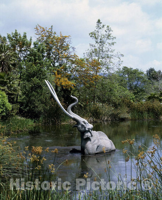 Los Angeles, CA Photo - La Brea Tar Pits, Los Angeles, California