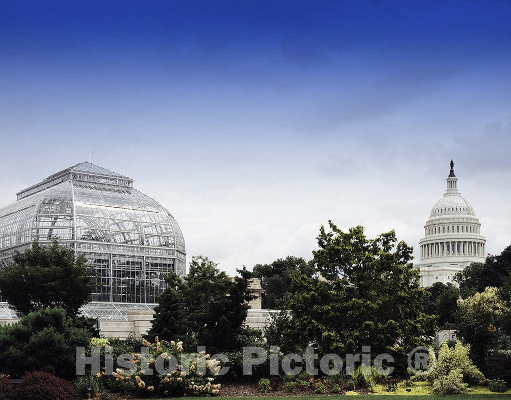 Washington, D.C. Photo - U.S. Botanic Garden, Washington, D.C.