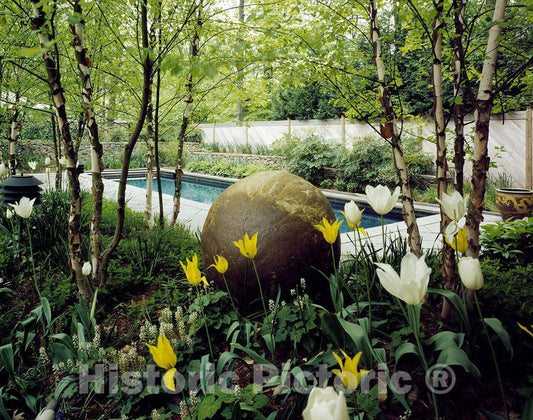 Washington, D.C. Photo - Pool in a Garden in Washington, D.C.