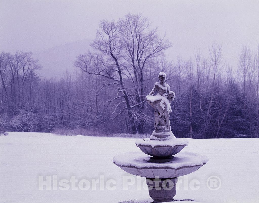 United States Photo - Garden Detail Covered in Snow in New England