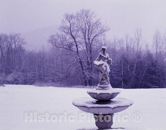 United States Photo - Garden Detail Covered in Snow in New England