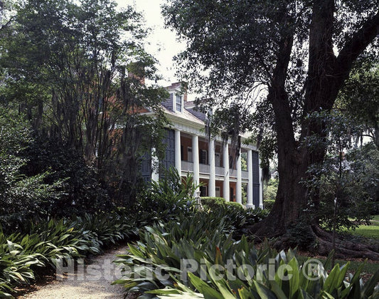 New Iberia, LA Photo - Shadows-on-the-Teche is an historic house and garden in New Iberia, Louisiana