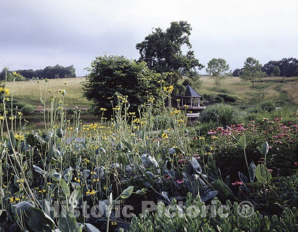 Virginia Photo - Garden in Rural Virginia